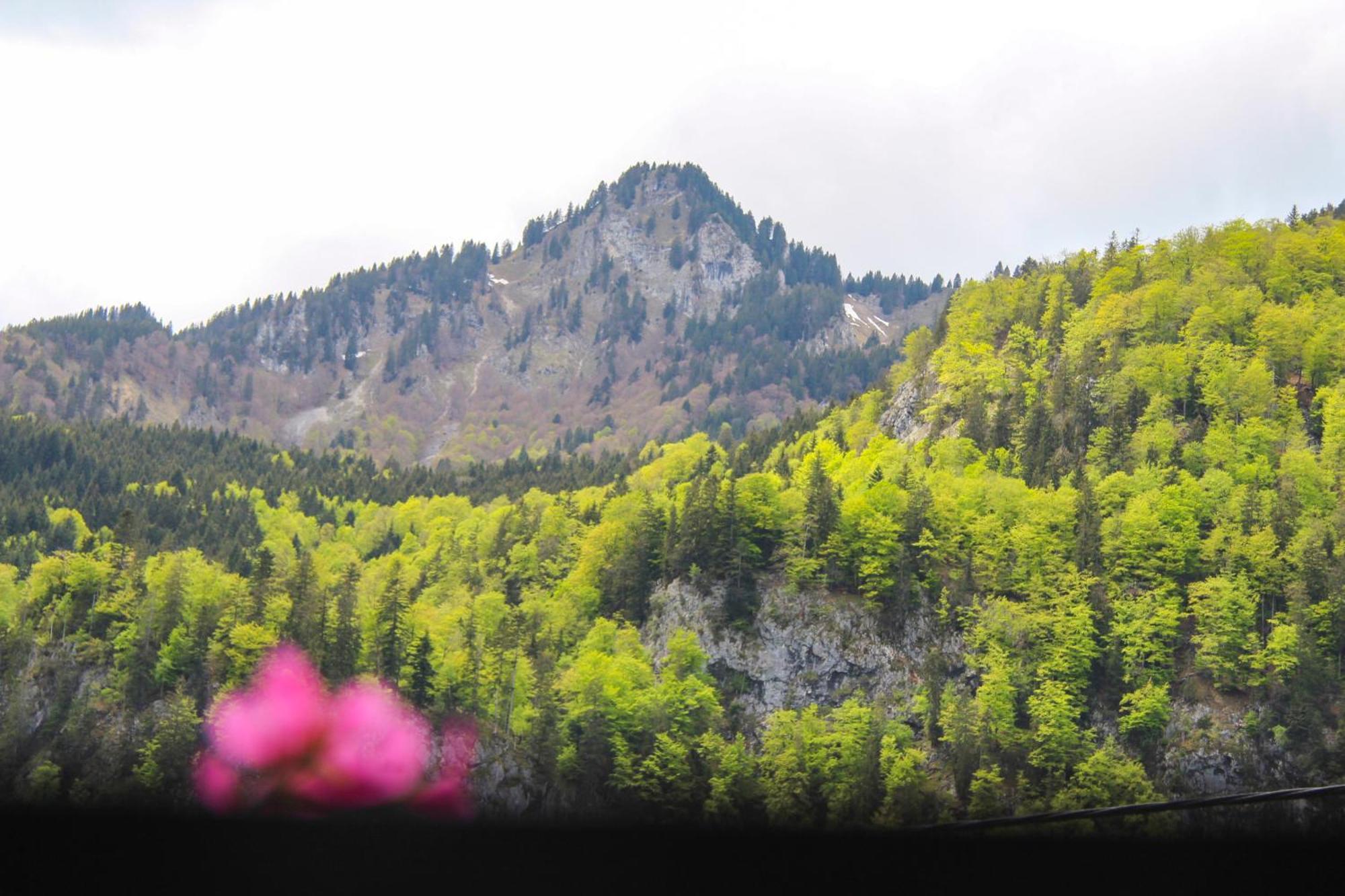 Bauernhof Auerhof Ferienwohnung Aschau im Chiemgau Esterno foto